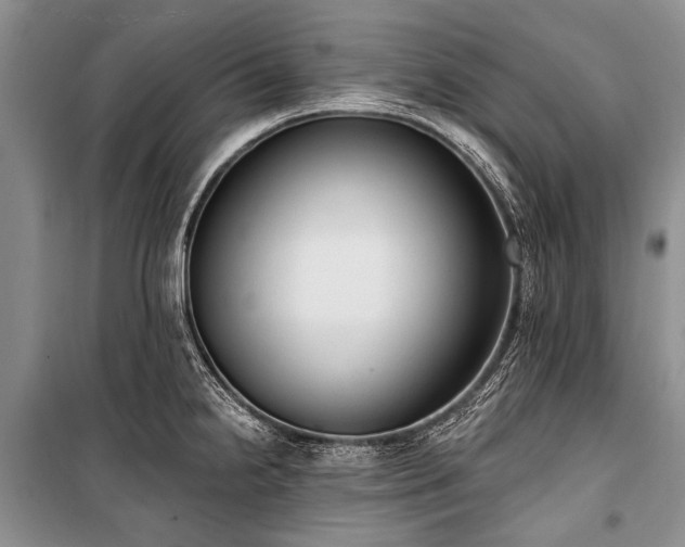 X0000101151238200806270936