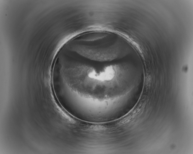 X0000101151239200806270936