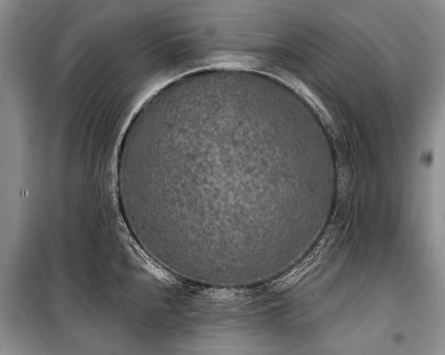 X0000101151240200806270936