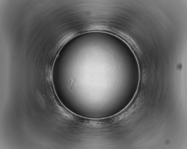 X0000101151241200806270936