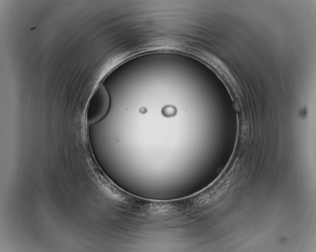 X0000101151242200806270936