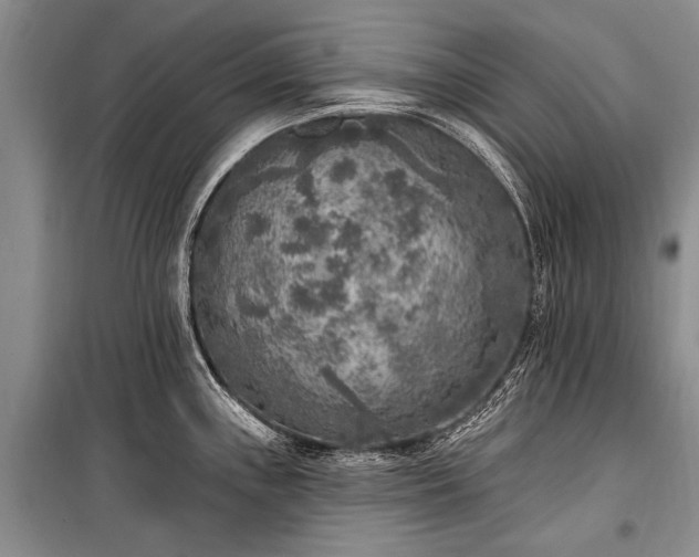 X0000101151243200806270936