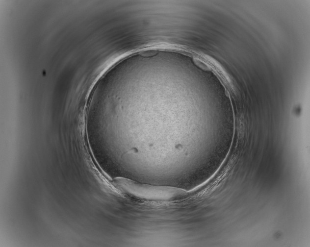 X0000101151244200806270936