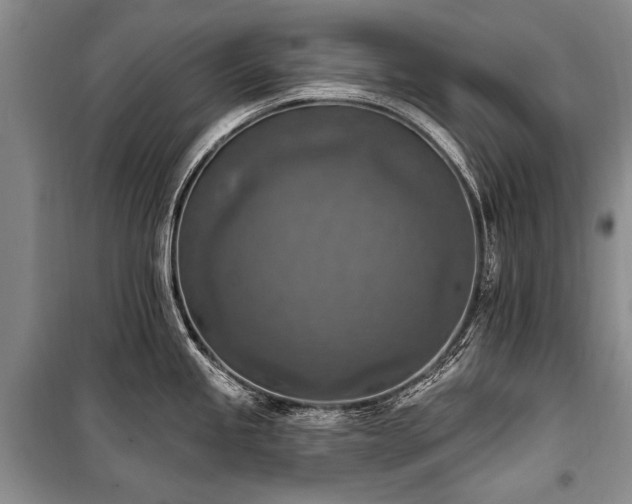 X0000101151245200806270936