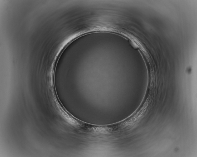 X0000101151246200806270936