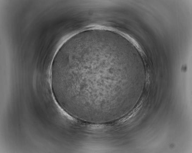 X0000101151247200806270936