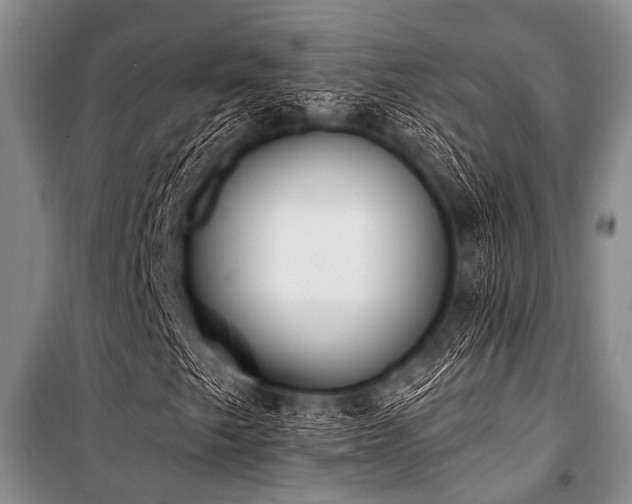 X0000101151249200806270935