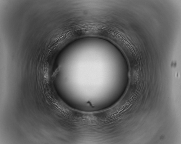 X0000101151250200806270935