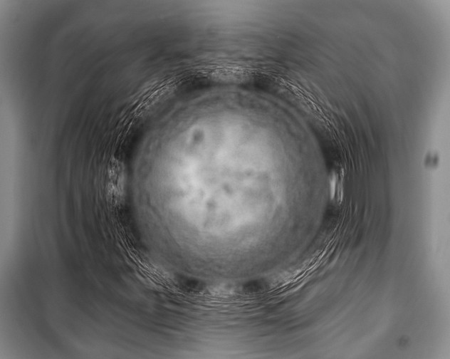X0000101151251200806270935