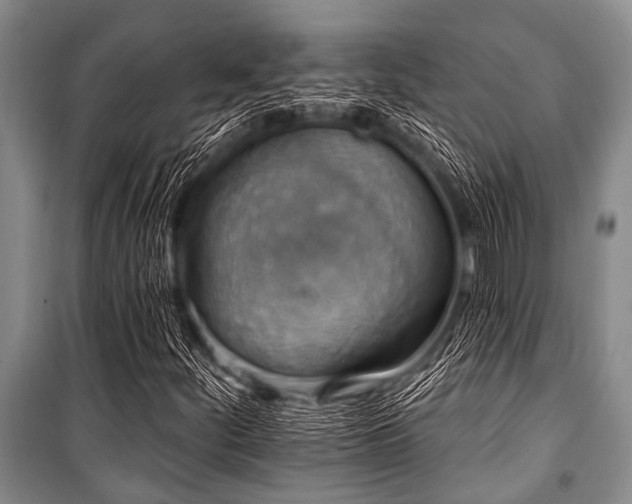 X0000101151252200806270935