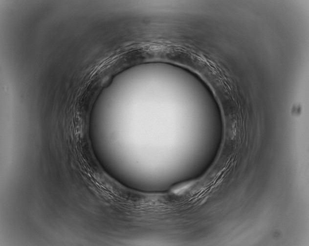 X0000101151253200806270935