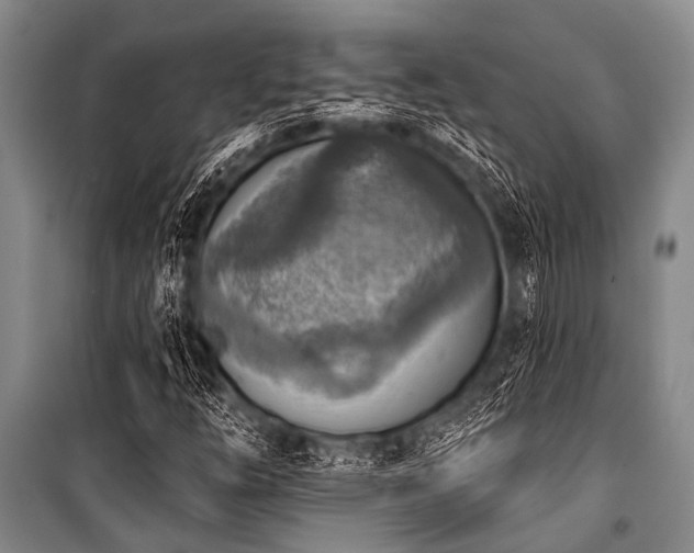 X0000101151254200806270935