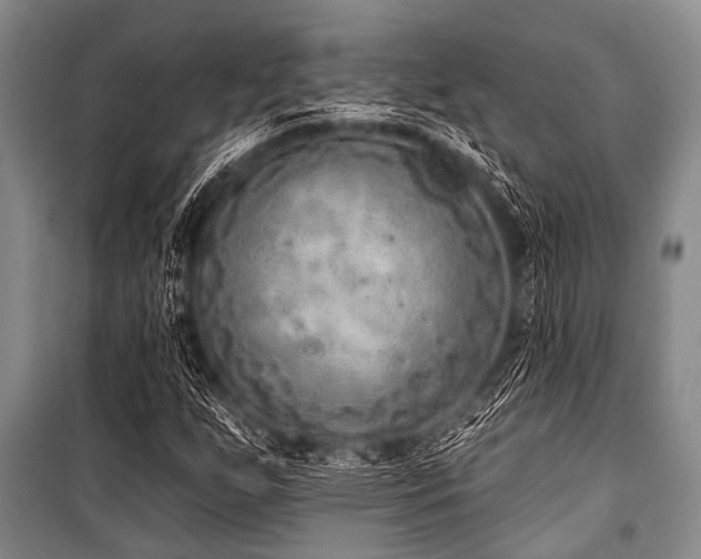 X0000101151255200806270935