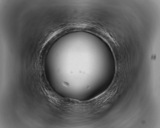 X0000101151256200806270935