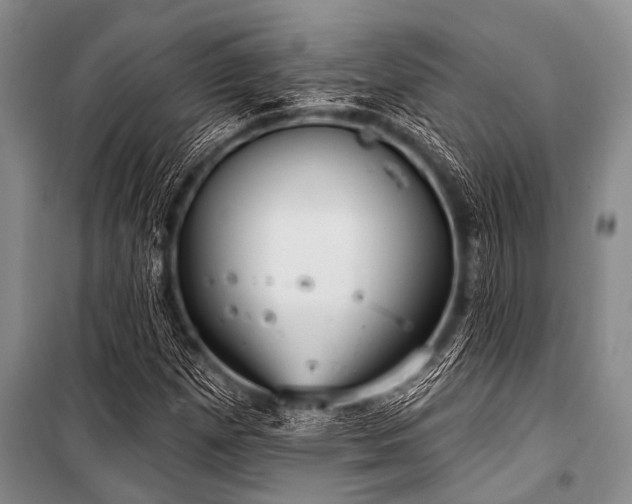 X0000101151257200806270935