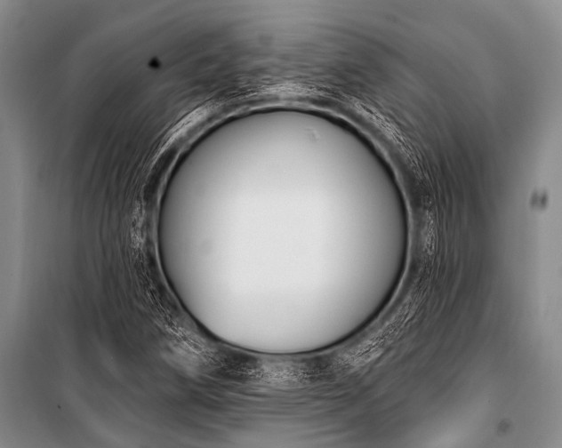 X0000101151258200806270935
