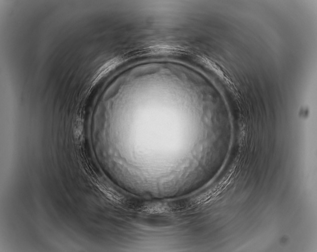 X0000101151259200806270935