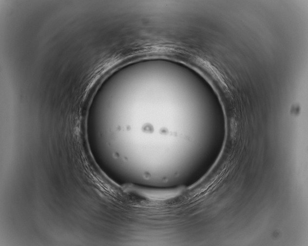 X0000101151260200806270935