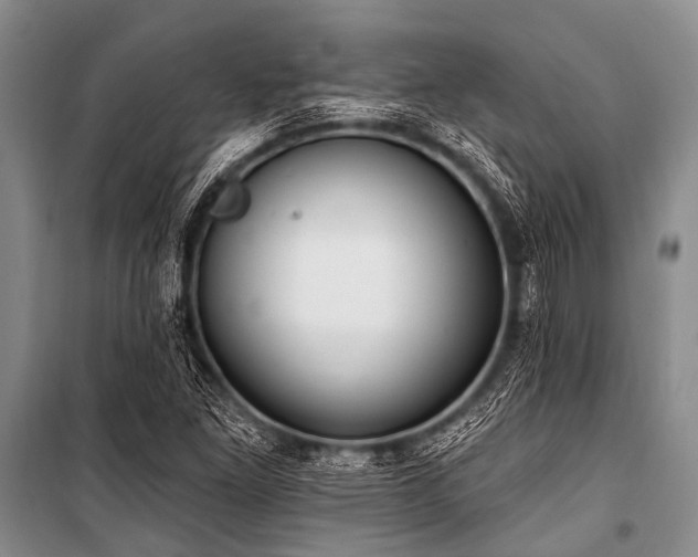X0000101151261200806270935