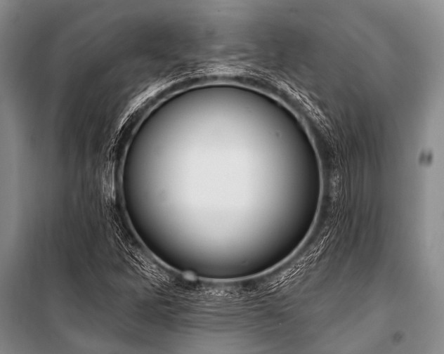 X0000101151262200806270935