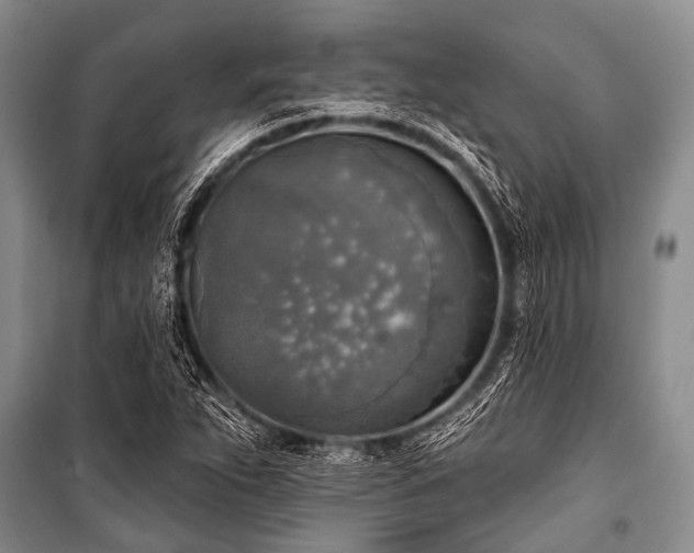 X0000101151263200806270935