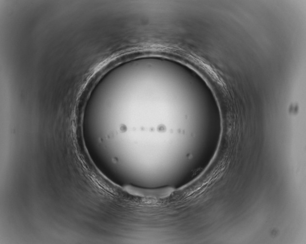 X0000101151264200806270935