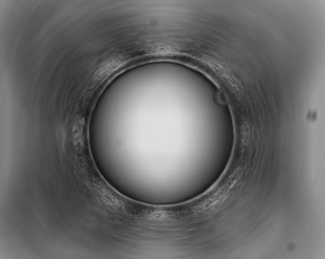 X0000101151265200806270935