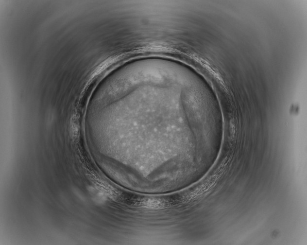 X0000101151266200806270935