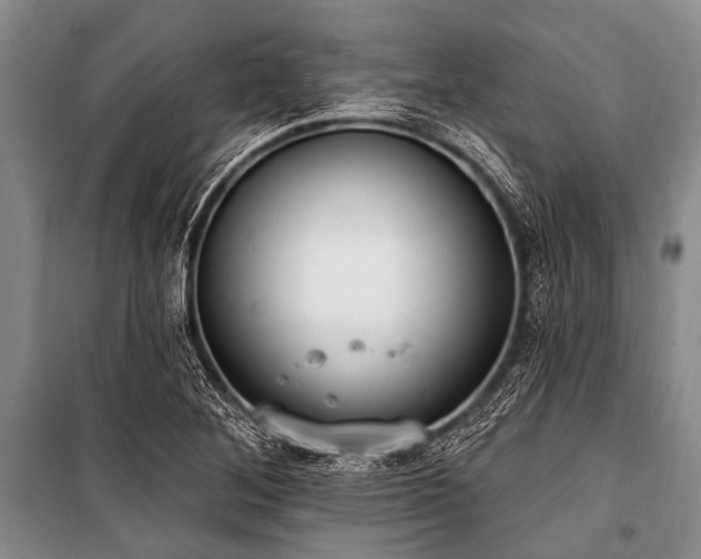 X0000101151268200806270935