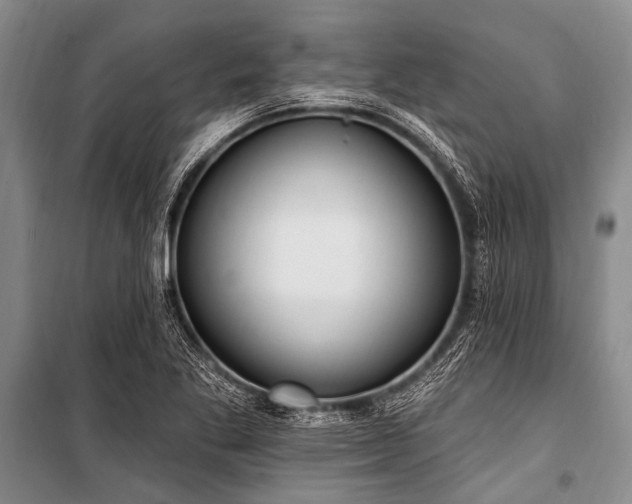 X0000101151269200806270935