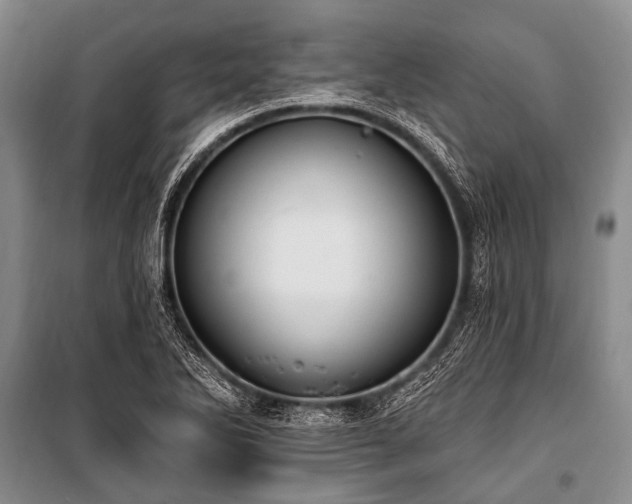 X0000101151270200806270935