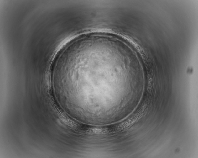 X0000101151271200806270935