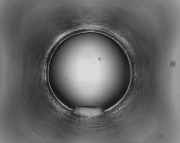 X0000101151272200806270935
