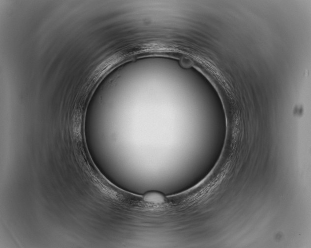 X0000101151273200806270935