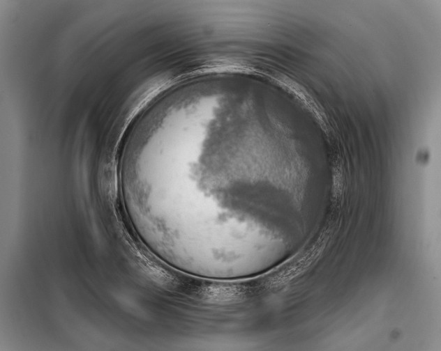 X0000101151274200806270935