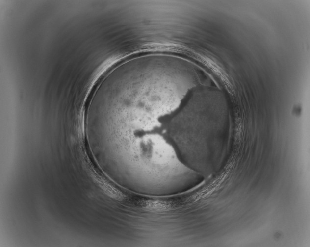 X0000101151275200806270935
