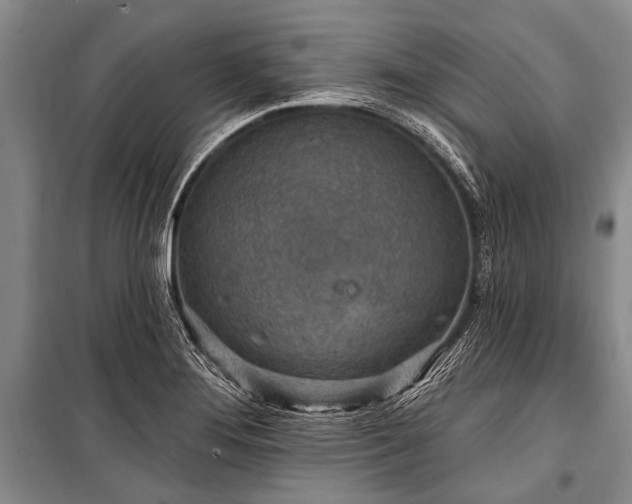 X0000101151276200806270935