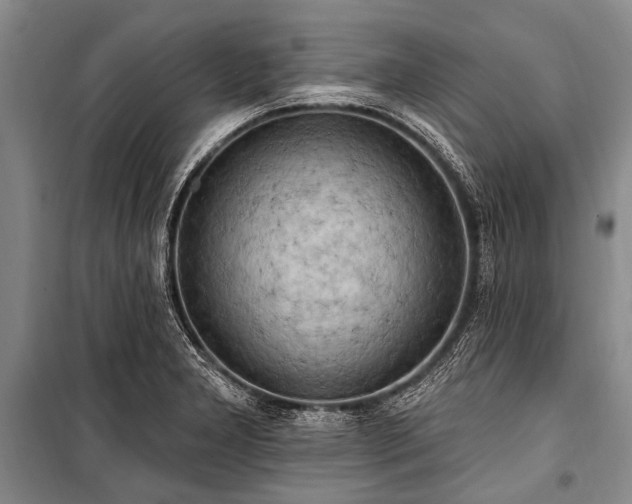 X0000101151277200806270935
