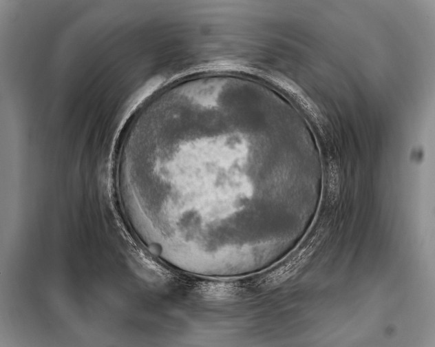 X0000101151278200806270935