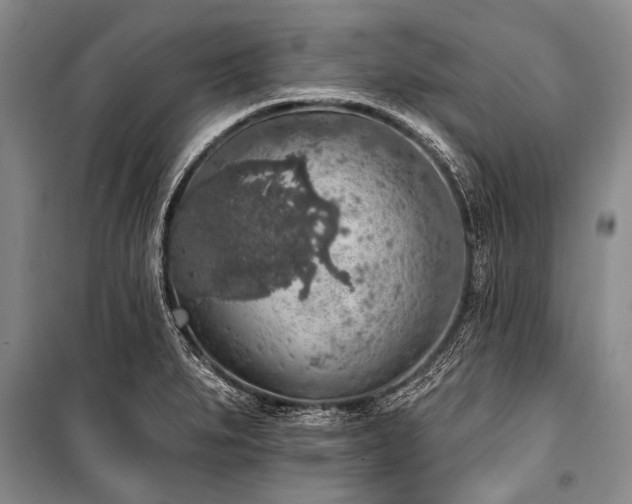 X0000101151279200806270935