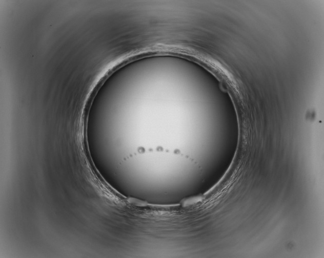 X0000101151280200806270935