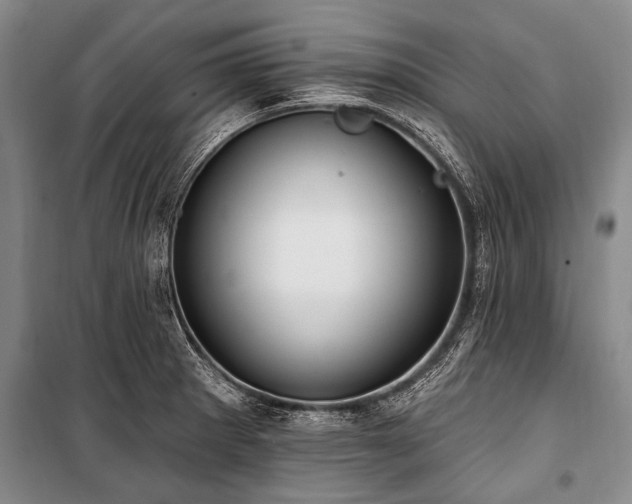 X0000101151281200806270935