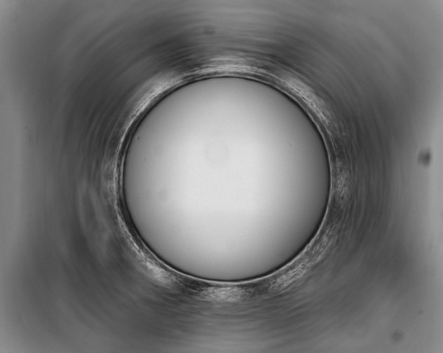 X0000101151282200806270935