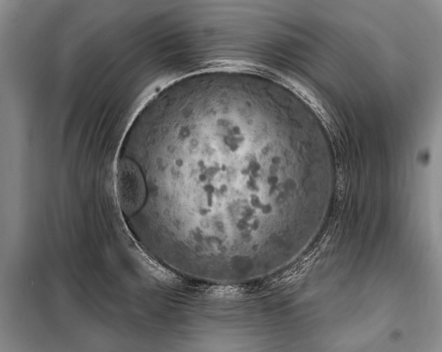 X0000101151283200806270935