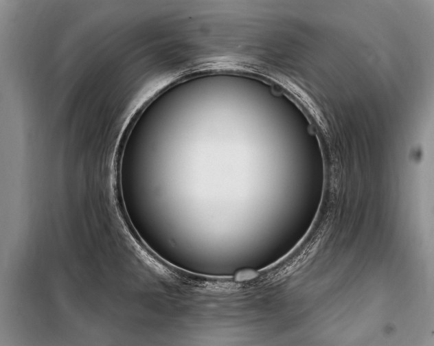 X0000101151285200806270935