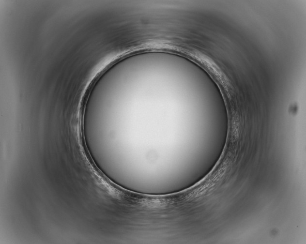 X0000101151286200806270935