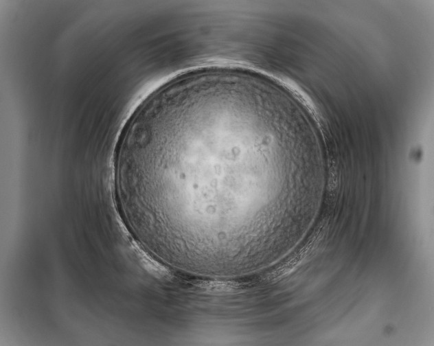 X0000101151287200806270935