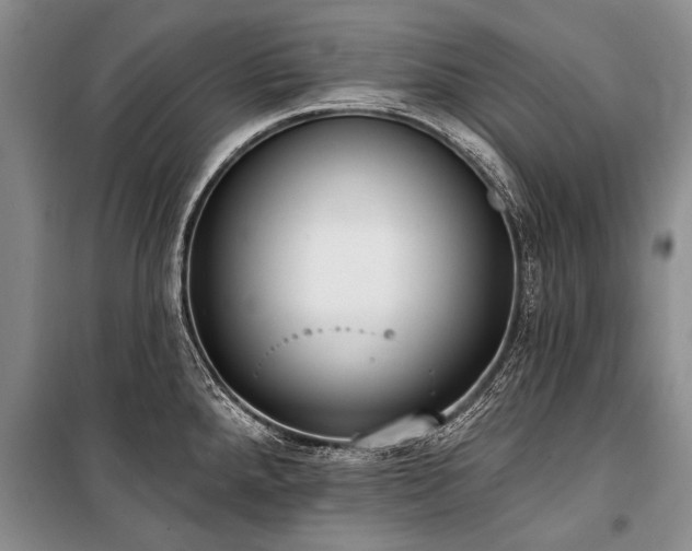 X0000101151288200806270935