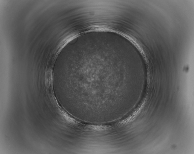 X0000101151289200806270934