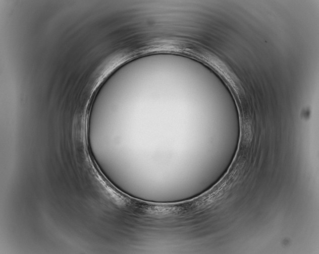 X0000101151290200806270934
